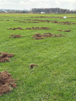 SkyEyes Daily Warnings